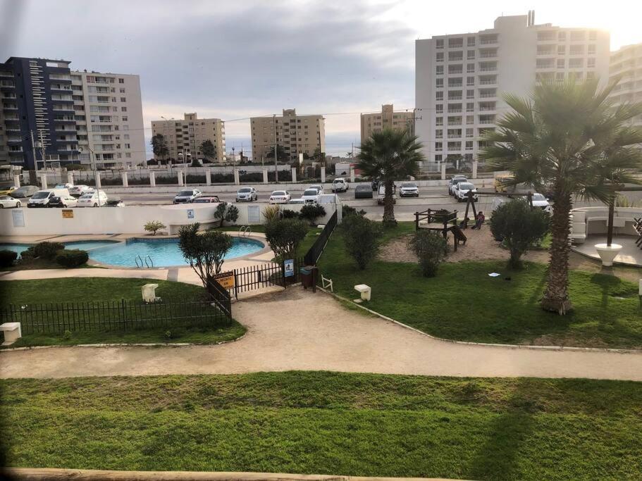 Vacaciones Sonadas Piscina Y Mar *